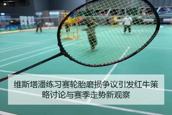 维斯塔潘练习赛轮胎磨损争议引发红牛策略讨论与赛季走势新观察