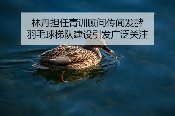 林丹担任青训顾问传闻发酵 羽毛球梯队建设引发广泛关注